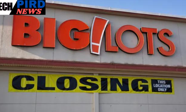 Big Lots Store Closings